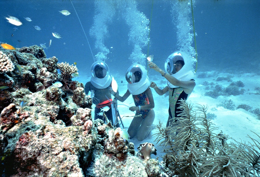 huong-dan-du-lich-dao-san-ho-koh-coral-thai-lan